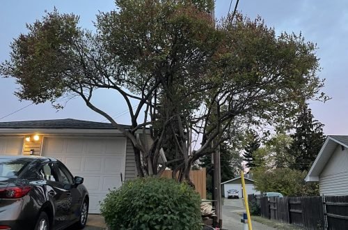 74D54706-BBAF-4E7C-AD52-BEF559855732