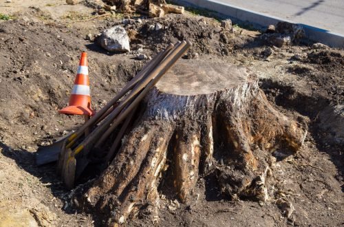 background-with-shovels-and-tree-stump-manual-upr-2026-01-11-09-40-05-utc